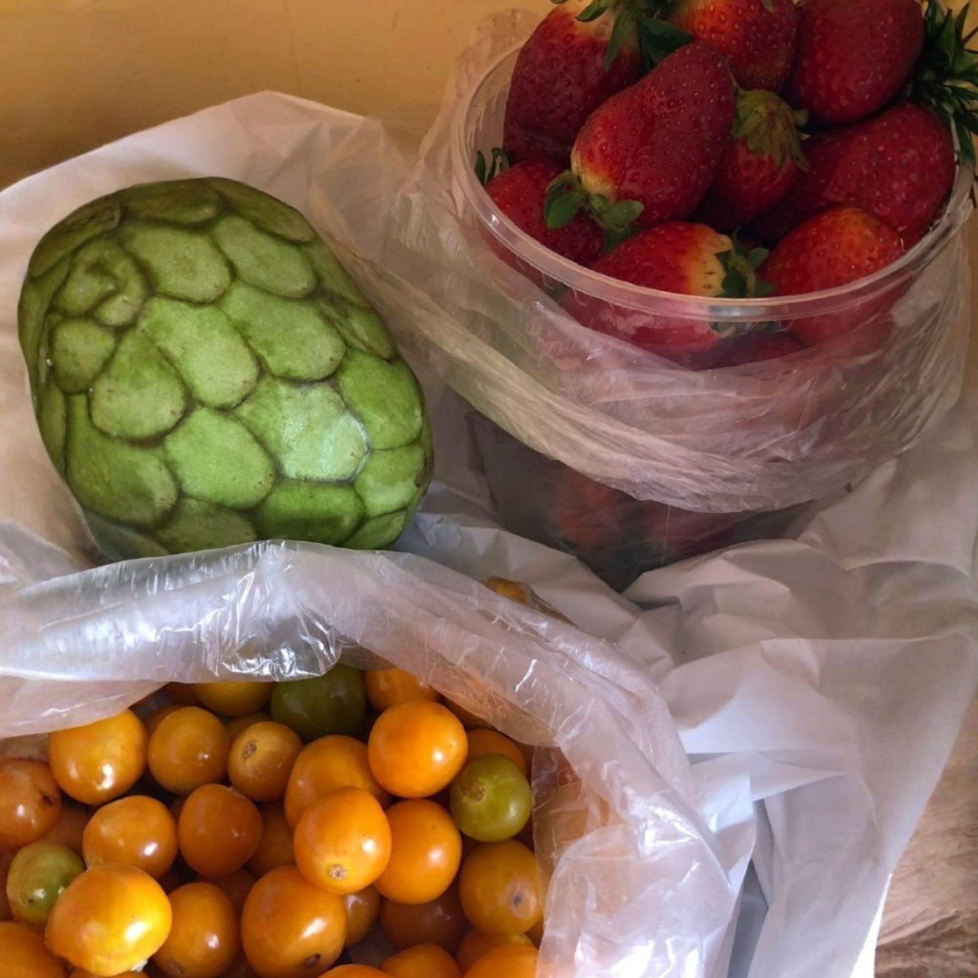 Untitled design - 2026-02-24T231927.843