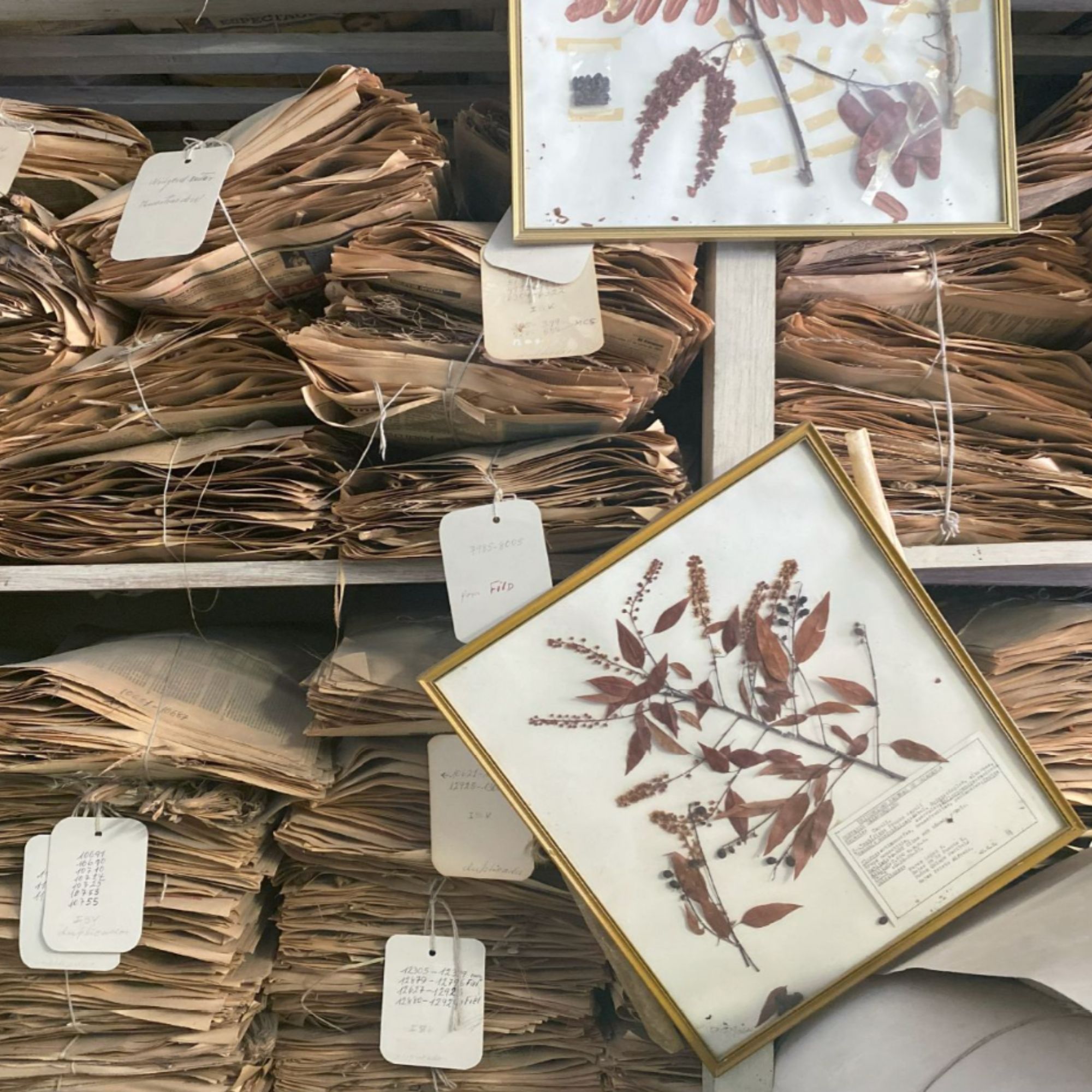 Untitled design - 2026-02-24T232120.397