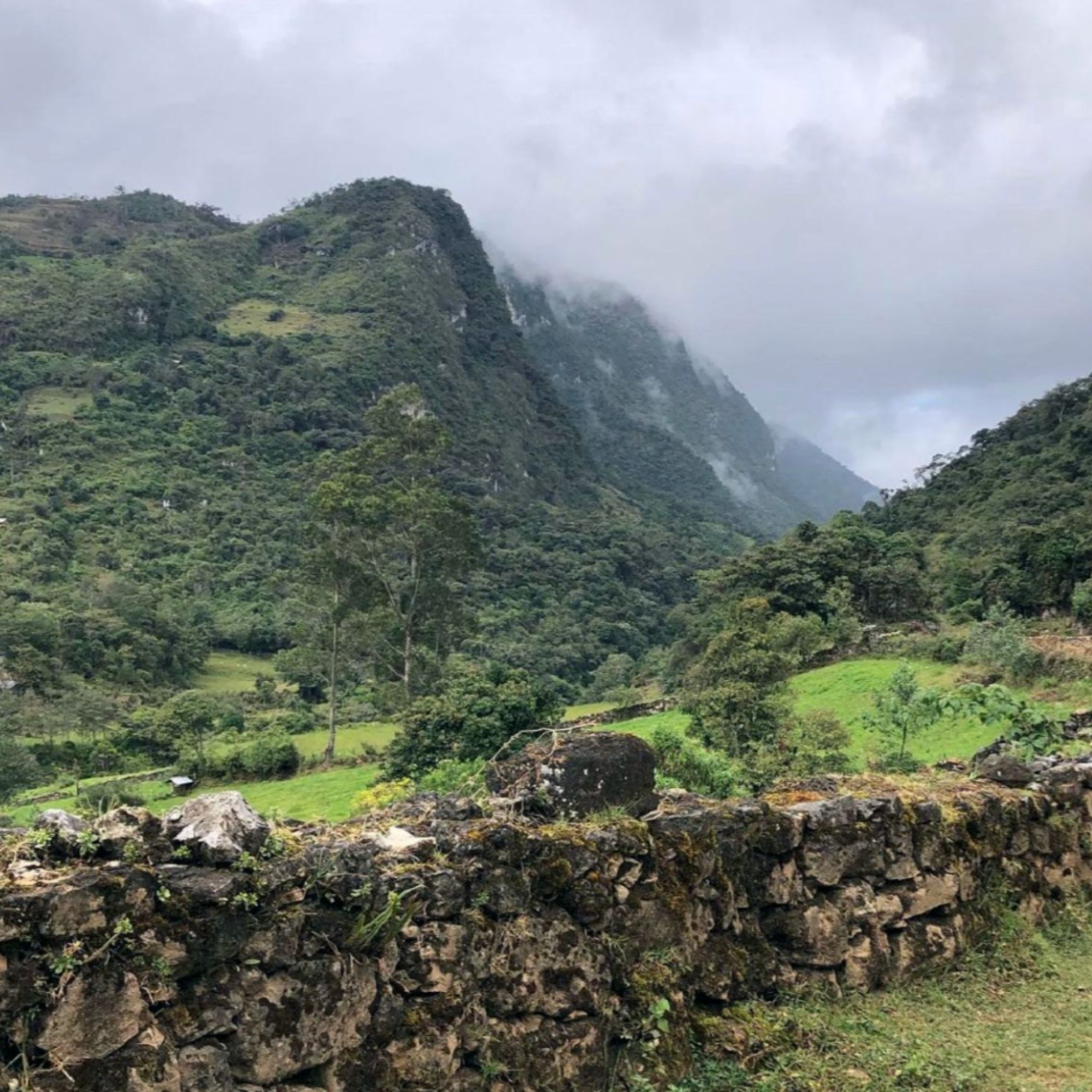 Untitled design - 2026-02-24T232221.329