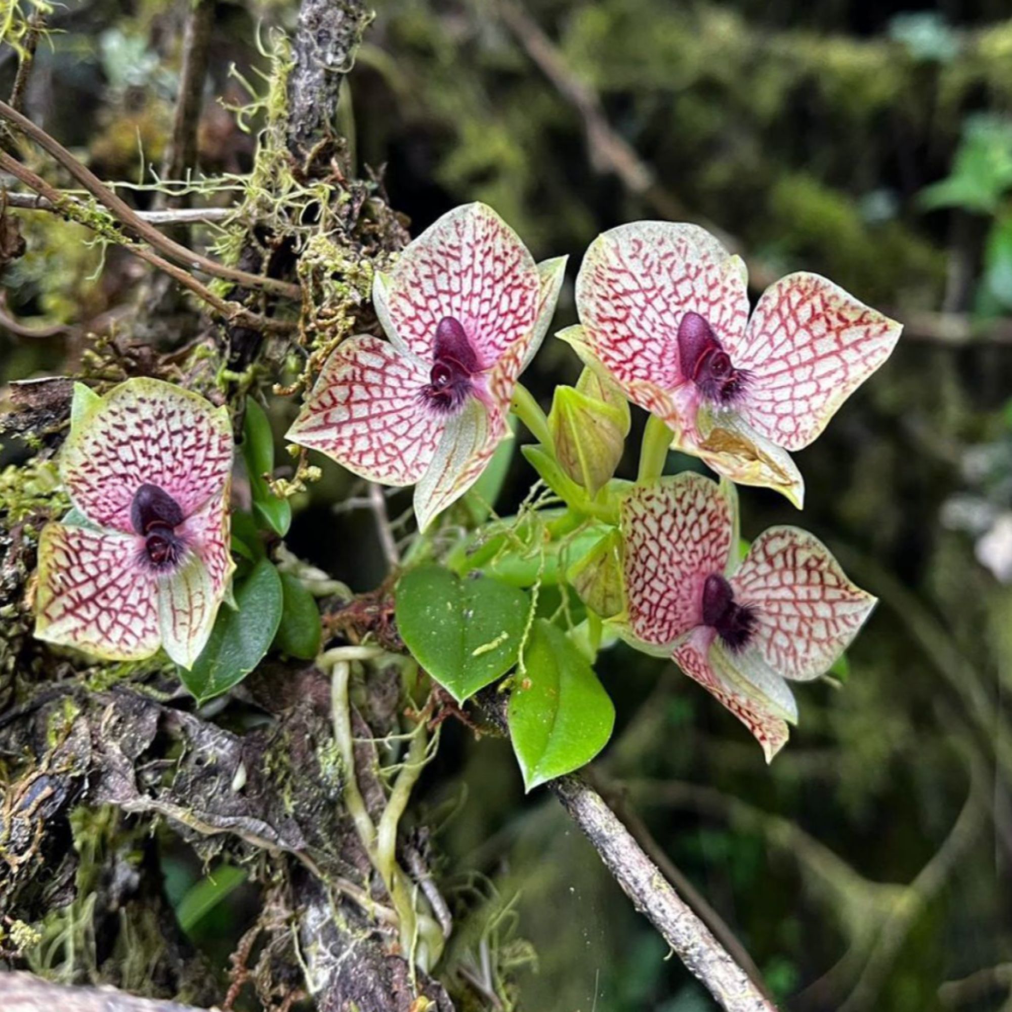 Untitled design - 2026-02-24T232435.384