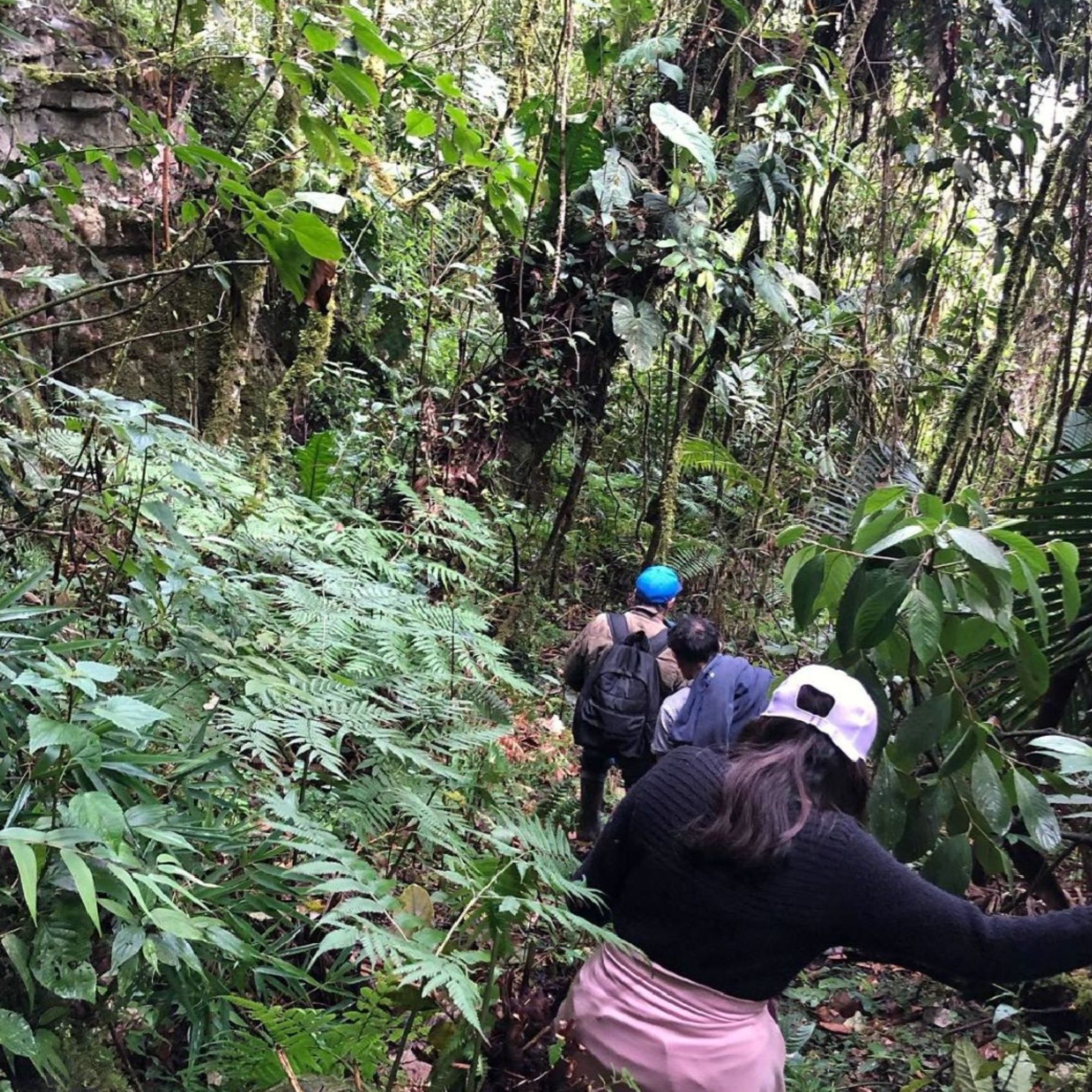 Untitled design - 2026-02-24T232535.324