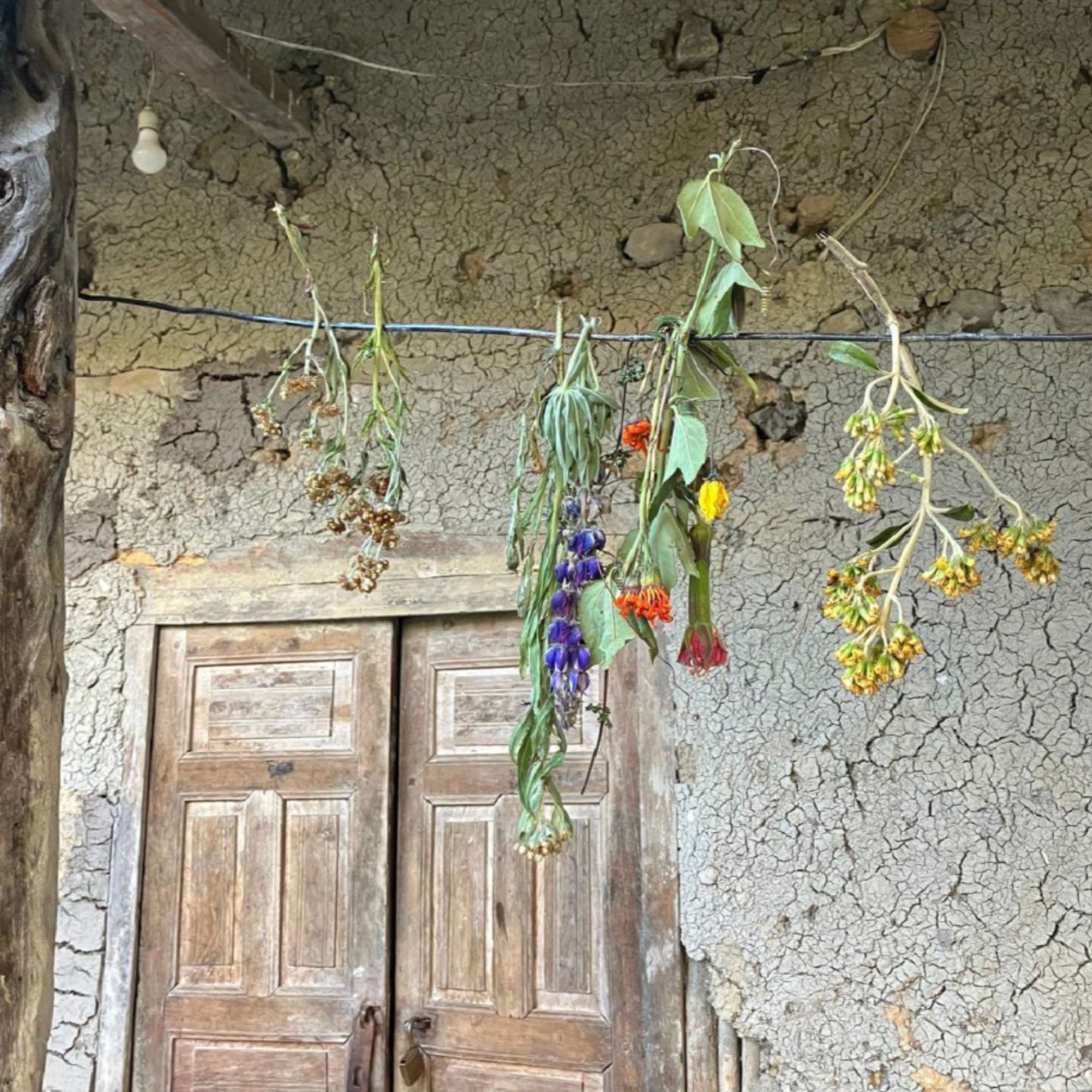 Untitled design - 2026-02-24T232643.393