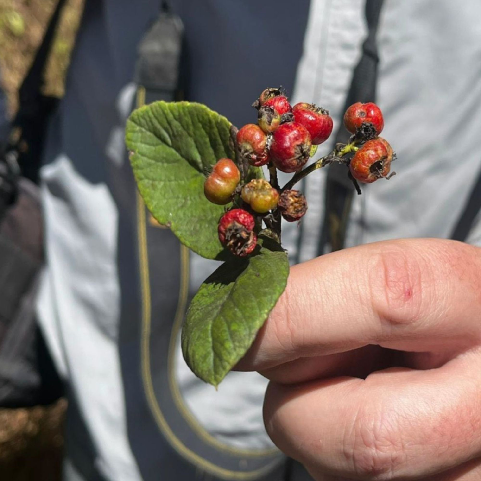 Untitled design - 2026-02-24T232719.407