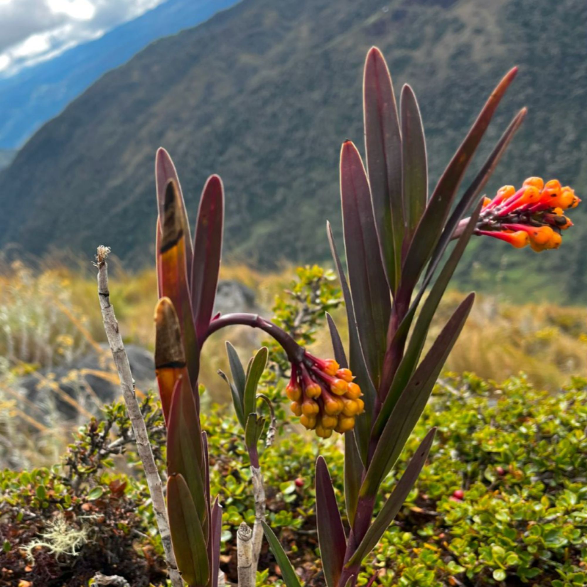 Untitled design - 2026-02-24T233019.360