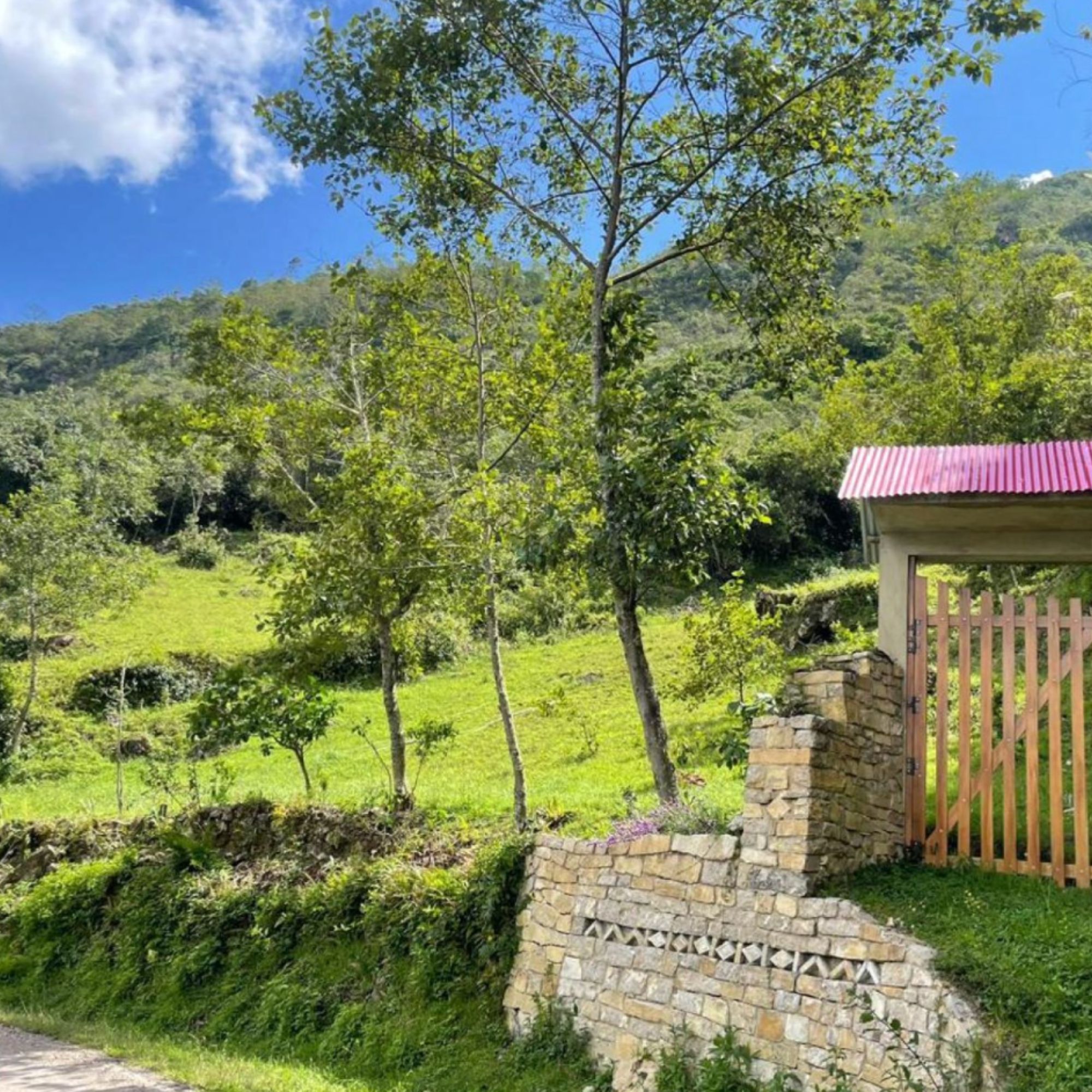 Untitled design - 2026-02-24T233142.049