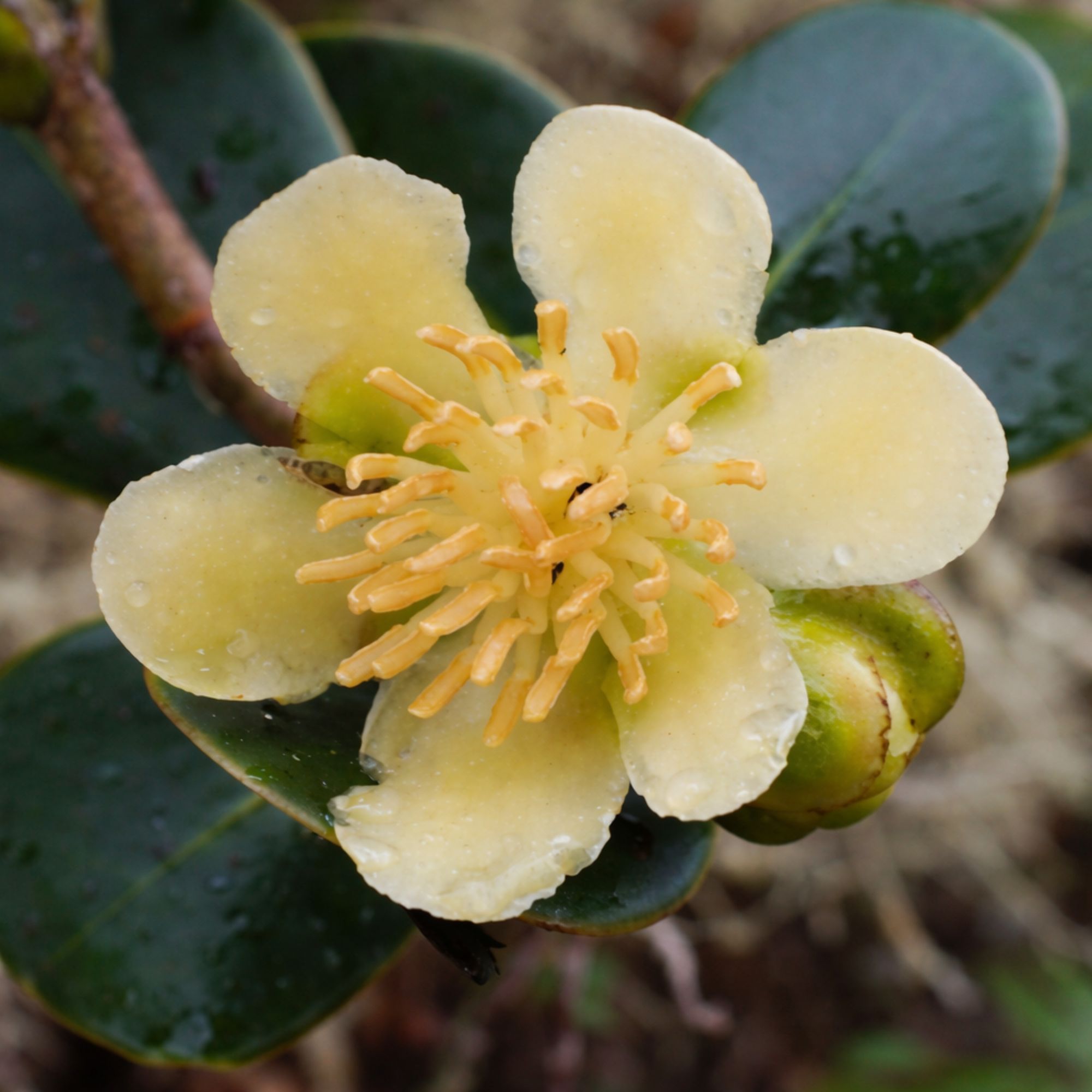 Untitled design - 2026-04-15T173836.436